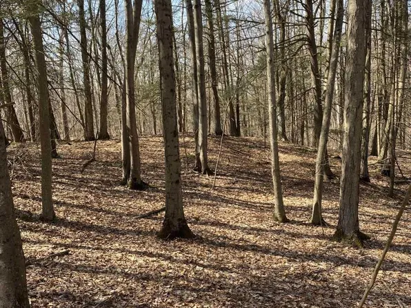 11 DEER HILL Road, Hyde Park, NY 12538