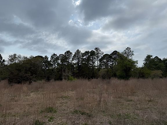 2nd image of 9564 N Cacalia Drive