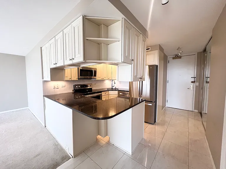 2650 N Lakeview Ave #3708 — Photo 5