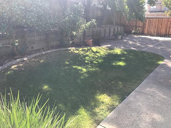 4th image of 1525 Olympic Cir