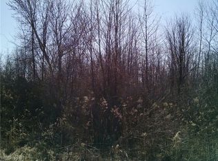 Grafton Rd, Brunswick, OH 44212