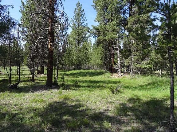 5th image of 168 Morrell Creek Dr