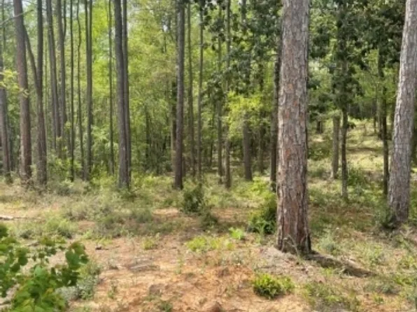 0 Elderberry Dr, Daphne, AL 36527