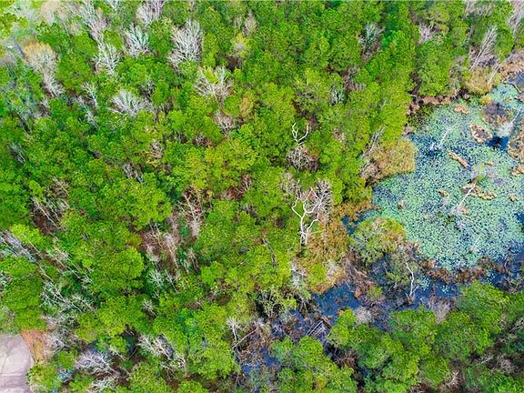 4th image of Surrey Ln