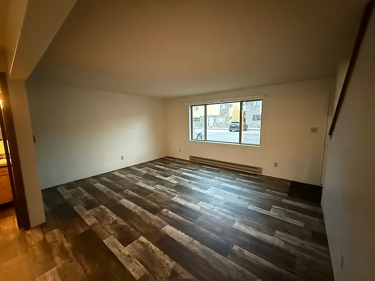 534 W 42nd St — Photo 3