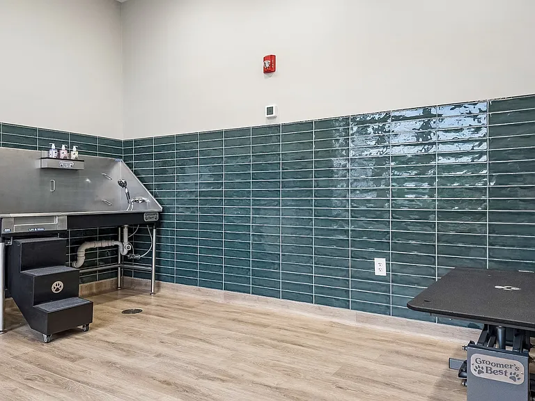 Pet Spa and Grooming Table