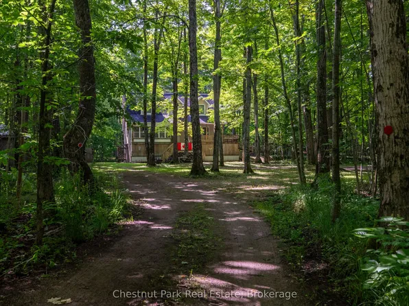89 Tammys Cove Rd, Northern Bruce Peninsula, ON N0H 1W0