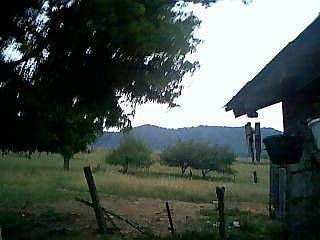 Clinch Valley Rd. to top of Clinch Mtn.