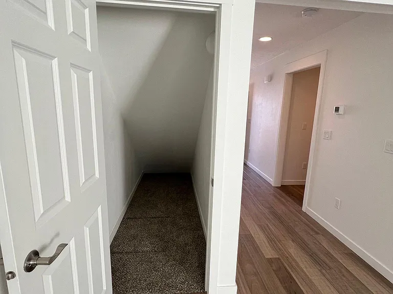 Under stair storage closet