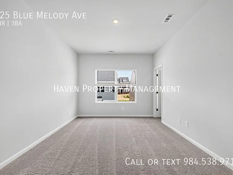 125 Blue Melody Ave — Photo 21