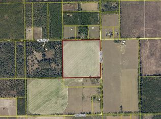 Tbd 209th Rd, Live Oak, FL 32060