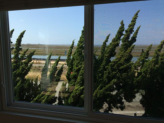 3rd image of 707 Boulevard Ave APT I