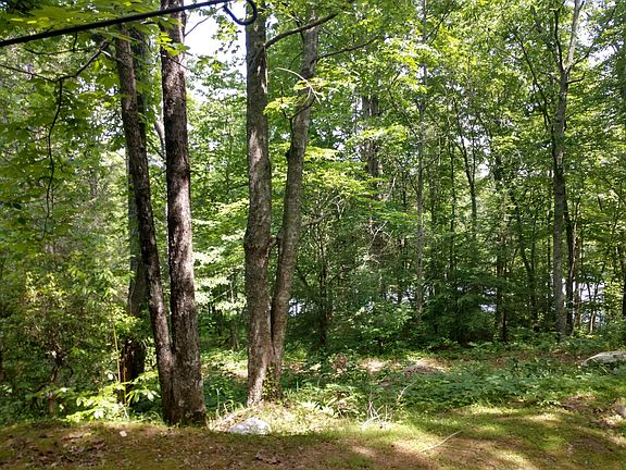 5th image of 9951 Huckleberry Ln
