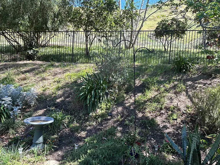3685 Canyon Terrace Dr — Photo 18