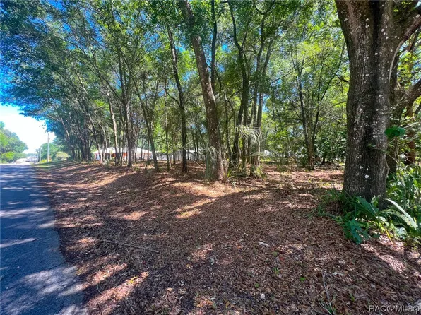 3958 E Byrd St, Inverness, FL 34453