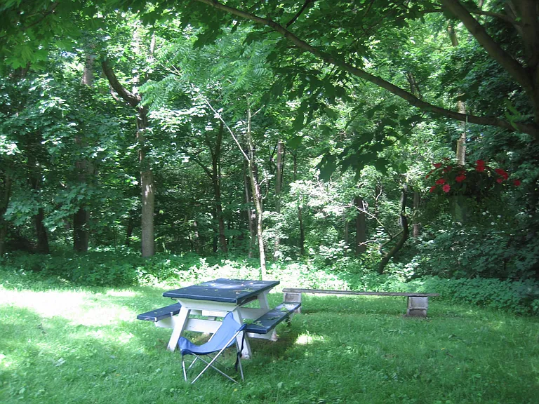 2010 Dexter Ave — Photo 12