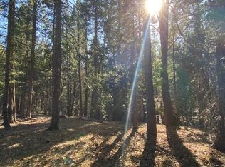 1-C-15 Shastina Cir, McCloud, CA 96057