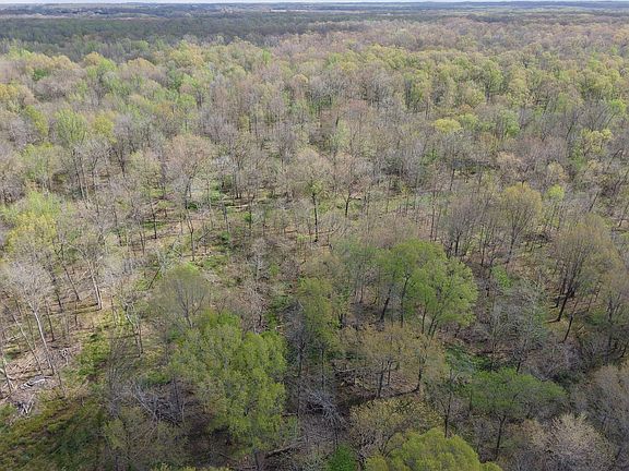 Dji Fly 20260331 111238 0201 1775063491348 Photo