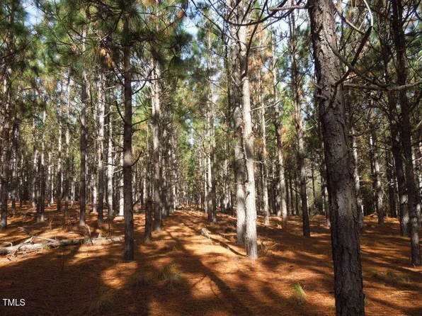 Cook Rd Lot 1, Carthage, NC 28327