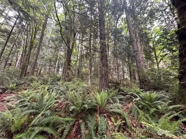 0 Tskutsko Point Road, Quilcene, WA 98376