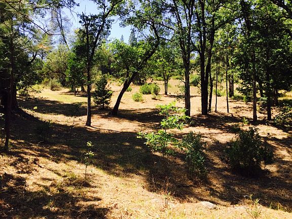 4th image of 13908 Shirley Dr