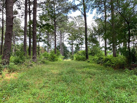 4th image of LOT 2 Highway 51 N