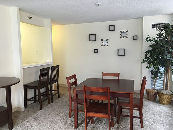 3rd image of 440 N Wabash Ave APT 508