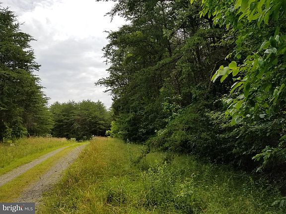 Image 5: : Road Frontage