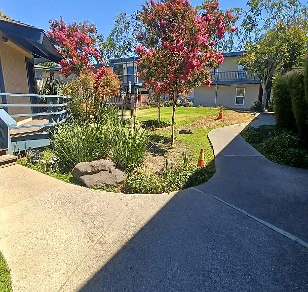 1731 Ellis St #10 — Photo 5