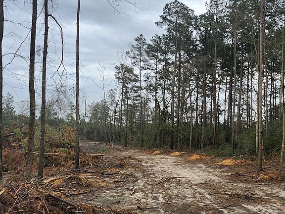 3rd image of County Road 182