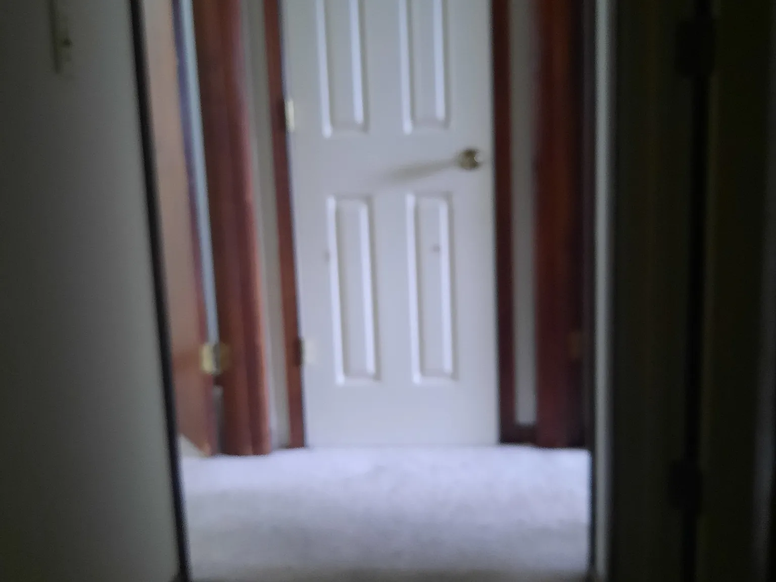 733 North Webster Street - 1 — Photo 4