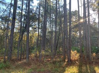 18010 Nighthawk Rd, Weeki Wachee, FL 34614