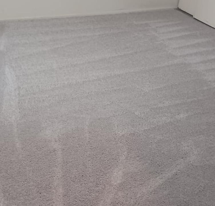 Master Bedroom New Carpet