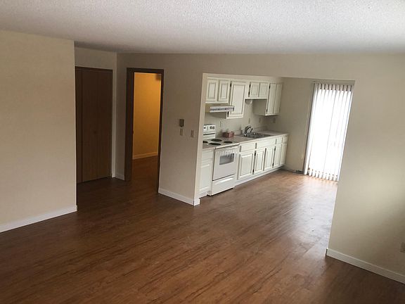 Lower level; kitchen, w/d hook-ups, half-bath, living room, storage closet. Patio door faces west, back window faces north over the backyard.