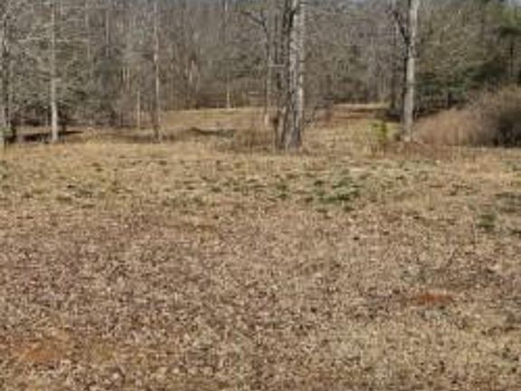 5th image of 486 Walthall Rd