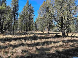 Tl 1300 Fishhole Creek Rd, Bly, OR 97622