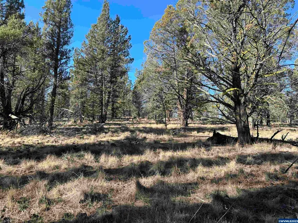 Tl 1300 Fishhole Creek Rd, Bly, OR 97622