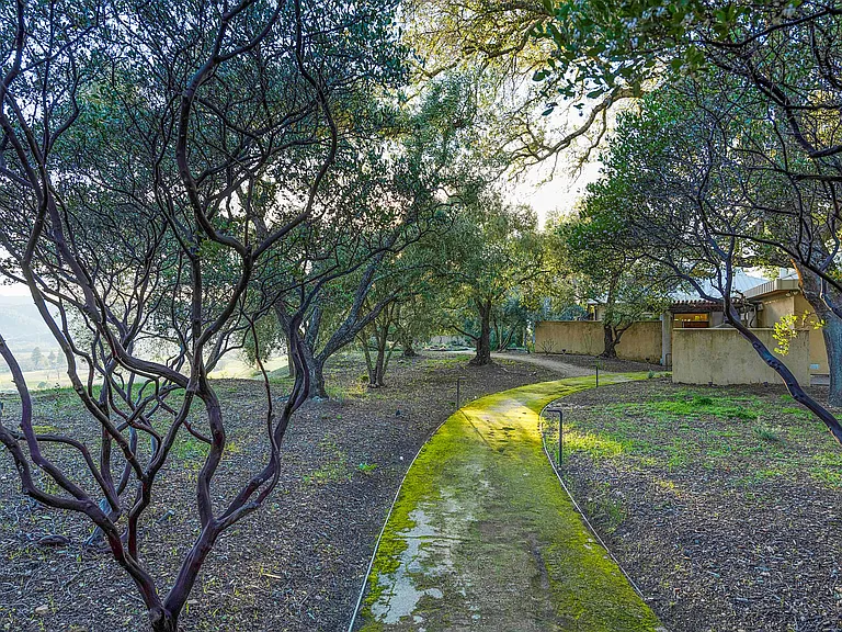 Entry Path