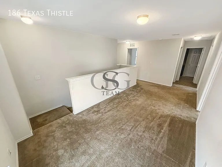 186 Texas Thistle — Photo 46