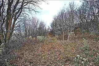 2nd image of 2866 Deer Pointe Dr