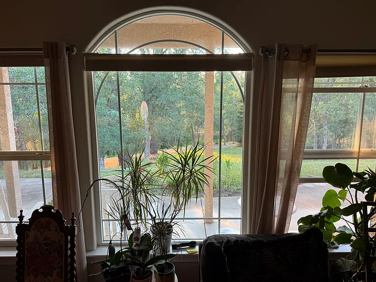 11592 Fox Estates Ct — Photo 6