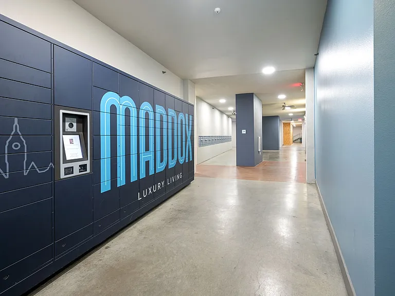 Maddox — Photo 13