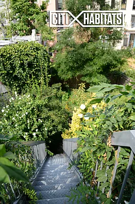 Rented by Citi Habitats | media 26