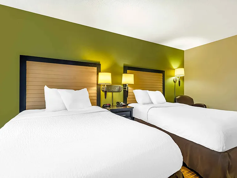 Studio Suite - 2 Full Beds