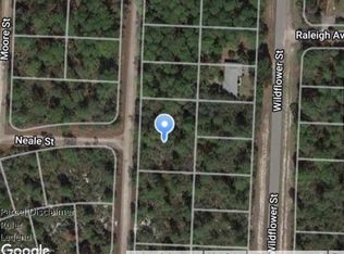831 E Magnolia Rd, Lake Placid, FL 33852