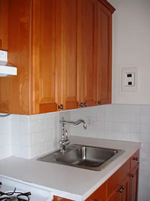 Rented by Halstead Real Estate | media 1