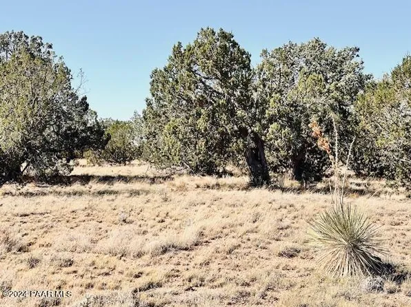 296N E Rocky Top Rd, Seligman, AZ 86337