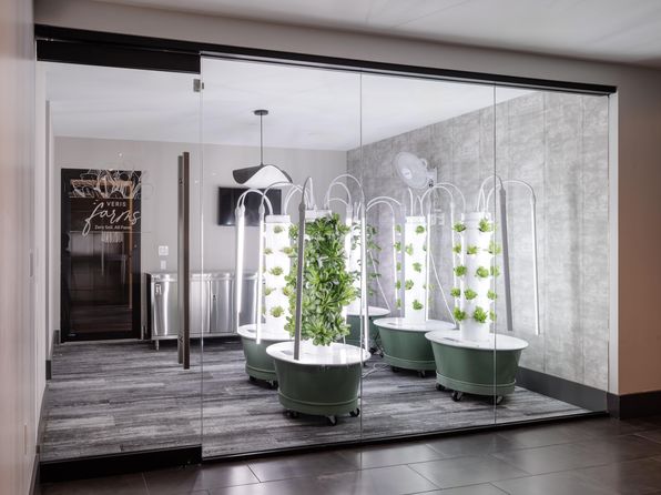 273 16th St #SL-0919