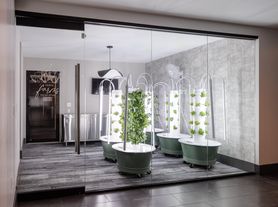 Soho Lofts