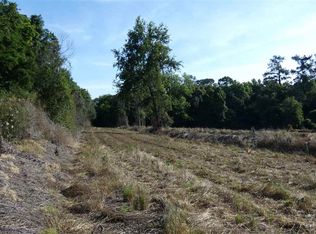 Rocky Branch Rd, Monticello, FL 32344